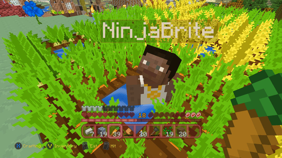 Minecraft friends