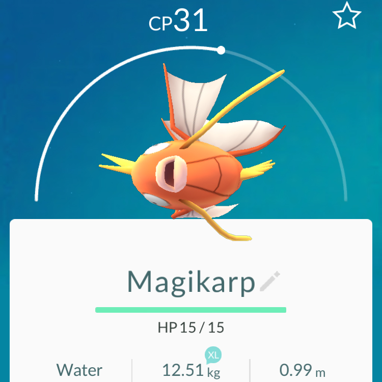 Magikarp - Pokémon Go