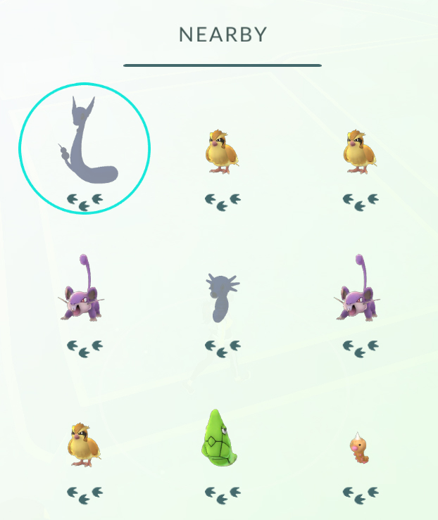 Nearby Pokémon footprints