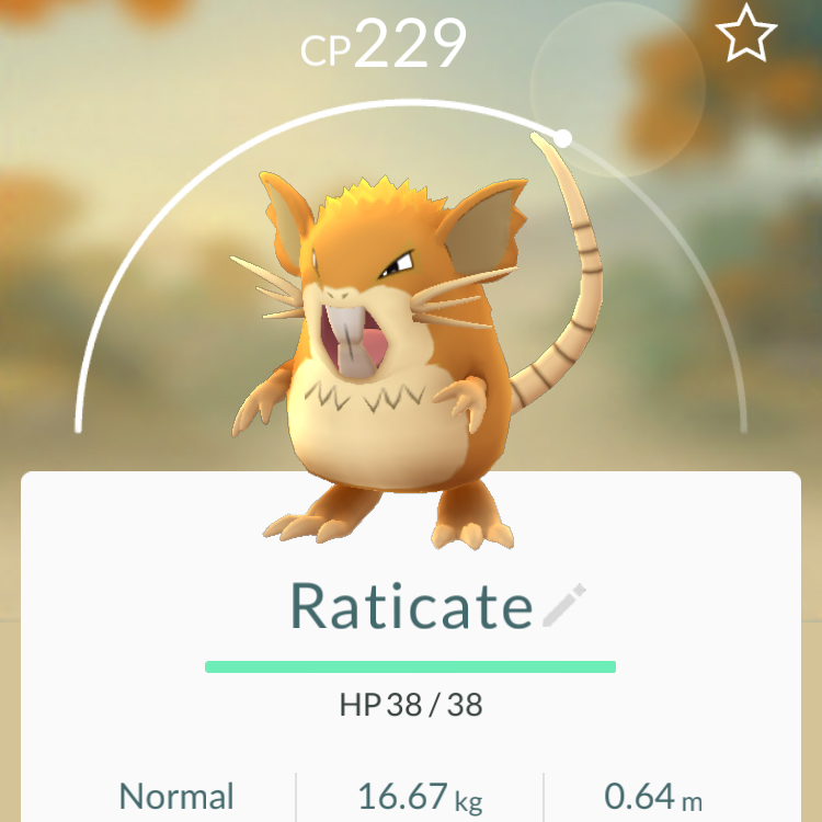 Raticate - Pokémon Go