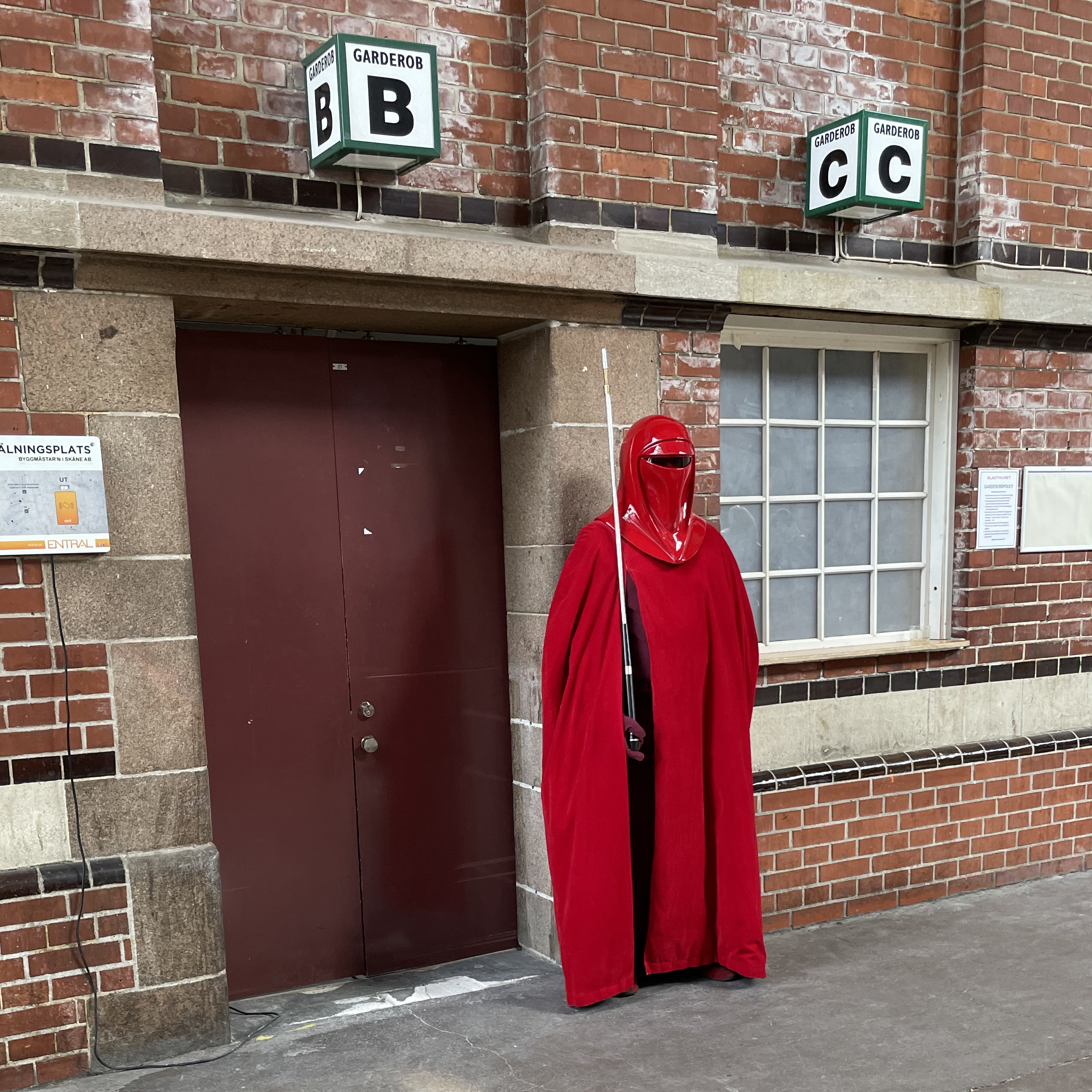 Star Wars Imperial Guard cosplay